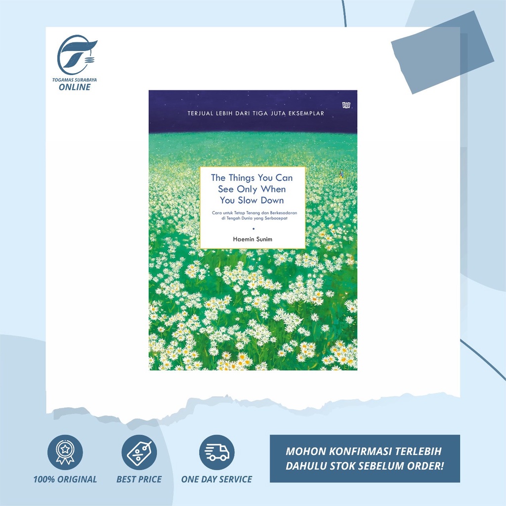 THE THINGS YOU CAN SEE ONLY WHEN YOU SLOW DOWN