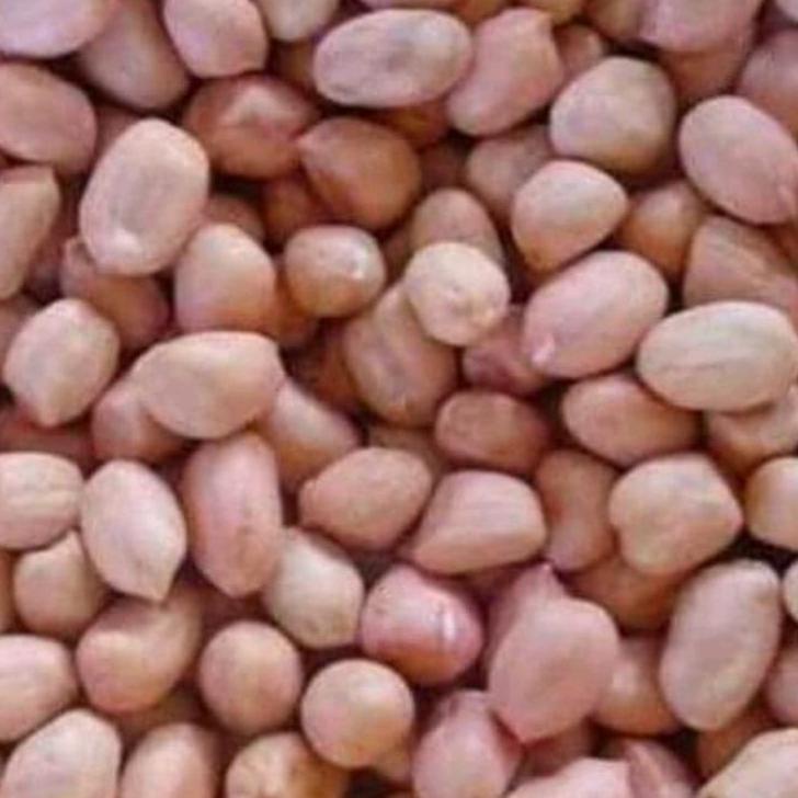 

IDK0w0V--kacang tanah murah 500gr