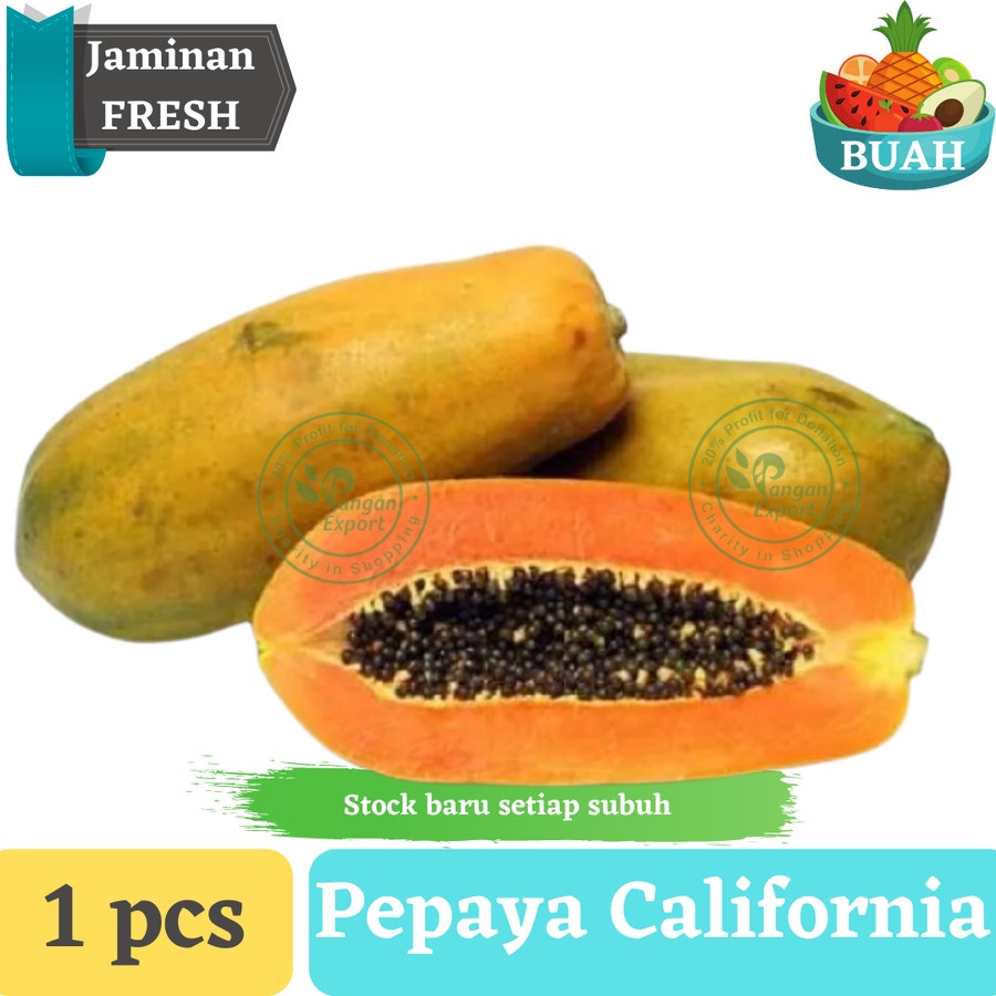 

Pepaya California Masak Pohon | Fresh dan Manis By Pangan Expoort