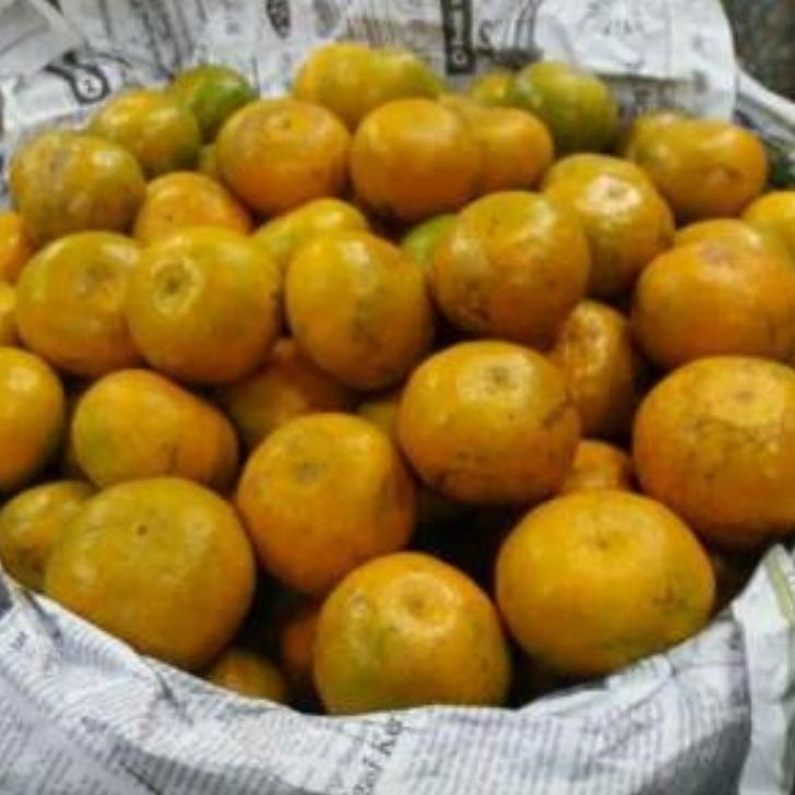 

✨COD✨ Jeruk Medan SUPER 1 kg 