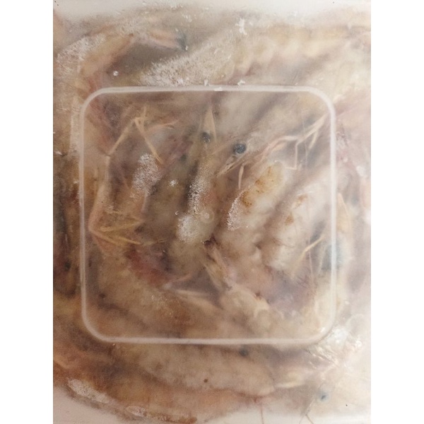 surabaya frozen udang putih banana 1kg 1 kg kurleb