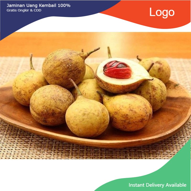 

Promo Buah pala mentah 1kg / buah segar / rempah-rempah