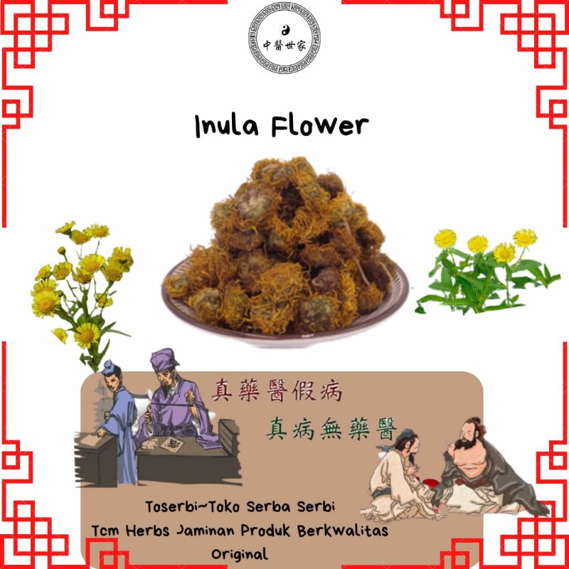 

50gr 旋覆花 Xuan Fu Hua Pentanema Britannica Inula Flower