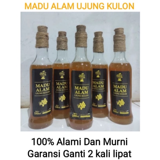 

Madu Asli Hutan Ujung Kulon