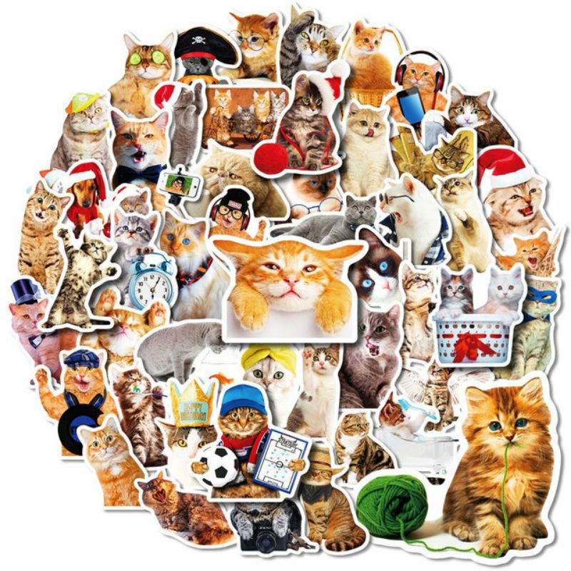 

Stiker Kucing Pack Style 260294- Stiker Aesthetic Keren Imut Laptop, Aksesoris Hp, Anti Air, Motif, Helm, Tumbler, Koper, Kulkas