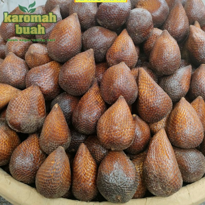 

BUAH SALAK PONDOH 1 KG GRADE A ( SALAK PONDOH ASLI ) LUMAYAN MANIS