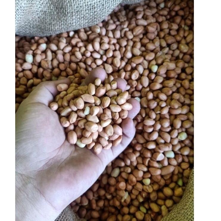 

idCc1C6--Kacang Tanah Import Java India 500Gram 1/2 Kilogram Dijamin Fresh!!!