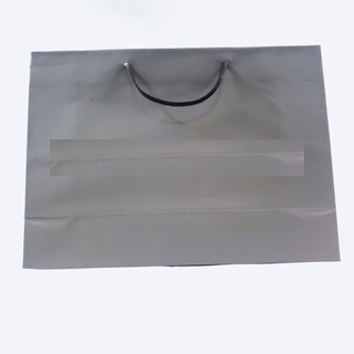 NGS Paperbag New Model large