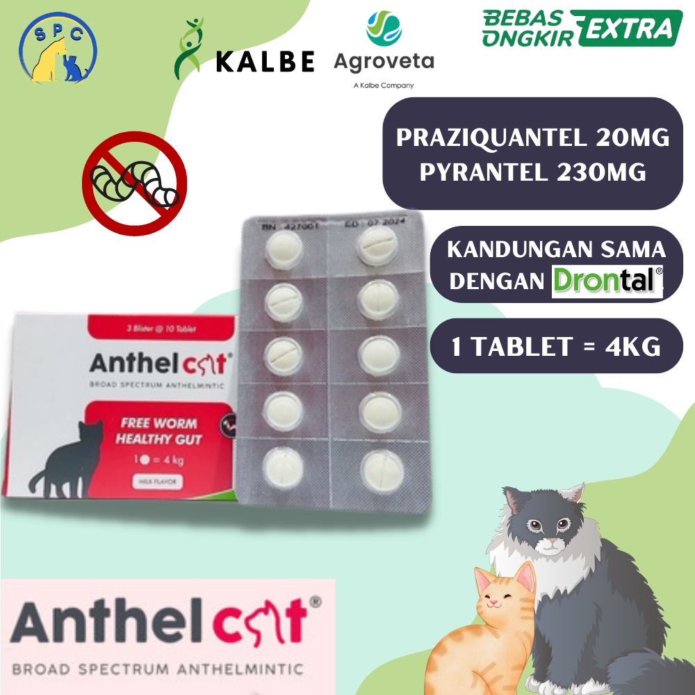 ANTHEL CAT Obat Cacing Kucing Deworming mirip dengan Drontal Cat