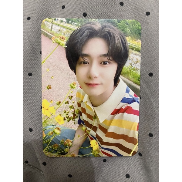 hyungwon monsta x xiesta photocard