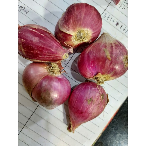 

RB BAWANG MERAH BREBES BESAR 1 KG