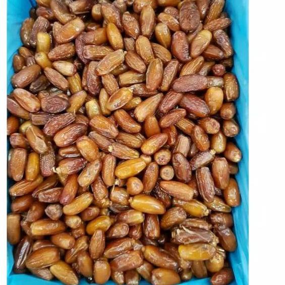 

Kurma Kurma Tunisia Madu Kemasan 500gr 500 gr Tuneese Palmfrutt Barari Ecer