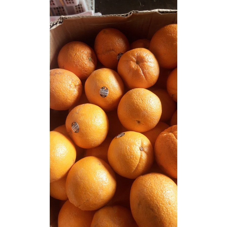 Jeruk sunkist madu