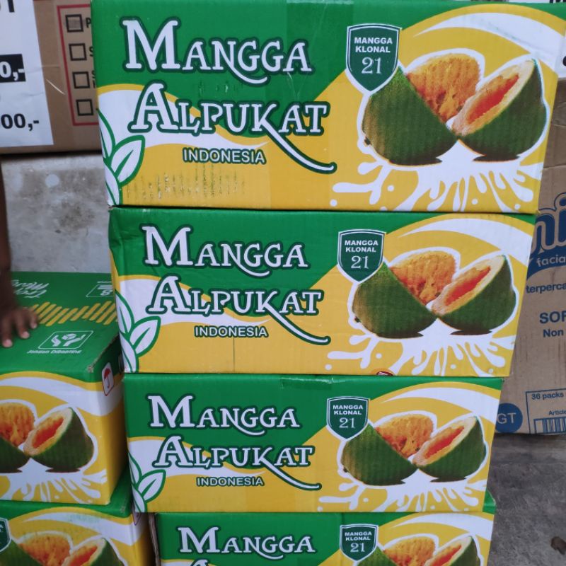 

Mangga Alpukat Pasuruan/Mangga Alpukat Klonal mantaap