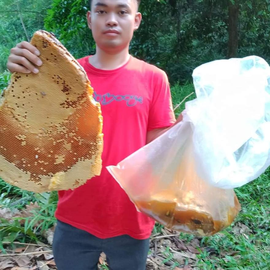 

✨Grosir✨ Madu Asli Murni Original - Madu Odeng Asli 1 kg - Madu Hutan Baduy - Madu Afifah 99 !!!