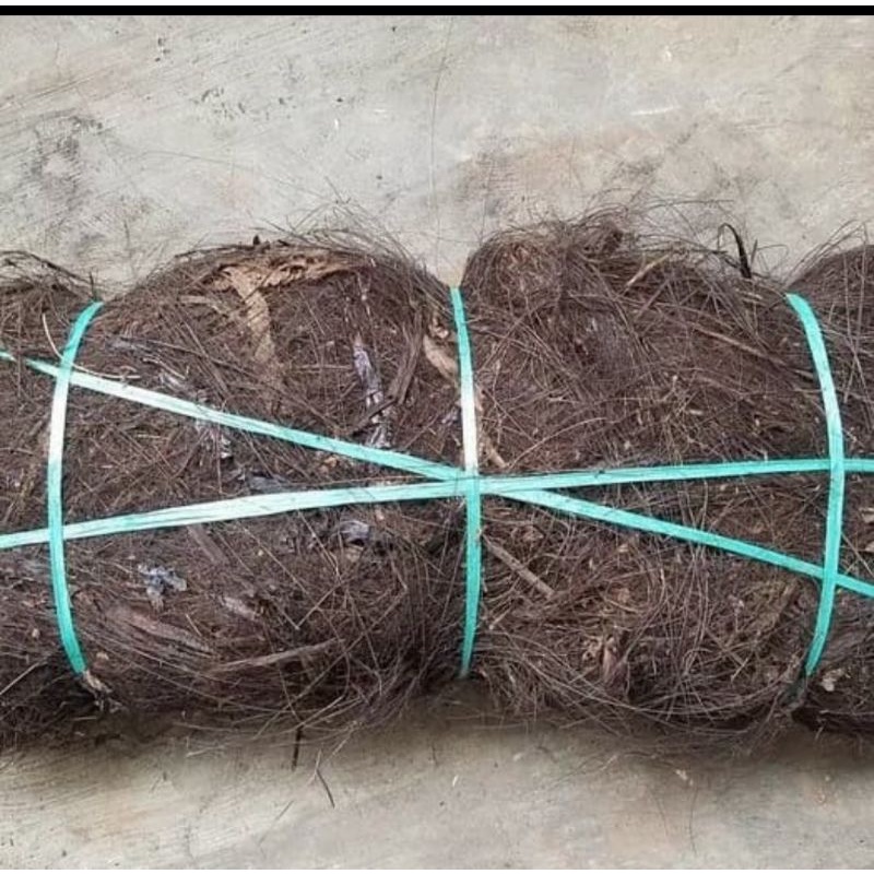 ijuk aren halus resapan air 1ikat / ijuk saringan air