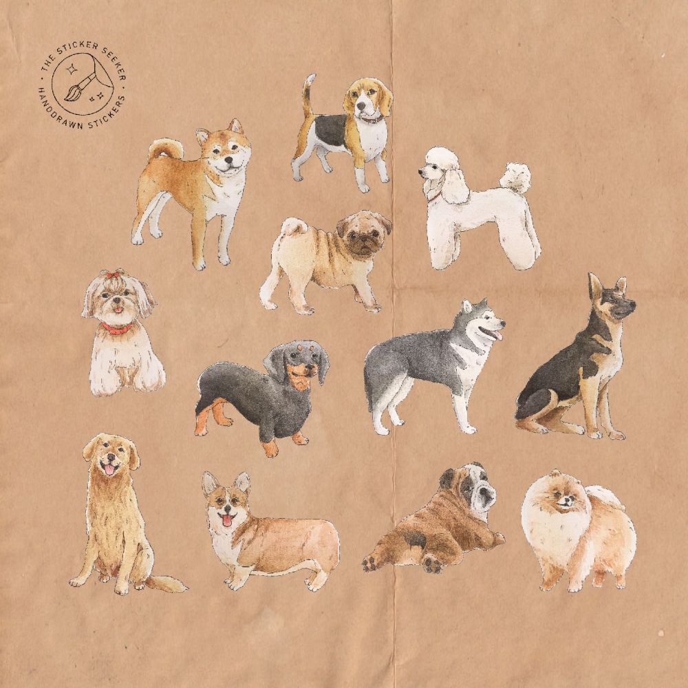 

THE STICKER SEEKER Animal Sticker Pack / Stiker Die Cut