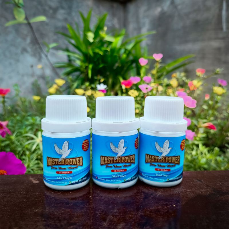 Jamu merpati master power perawatan kesehatan merpati
