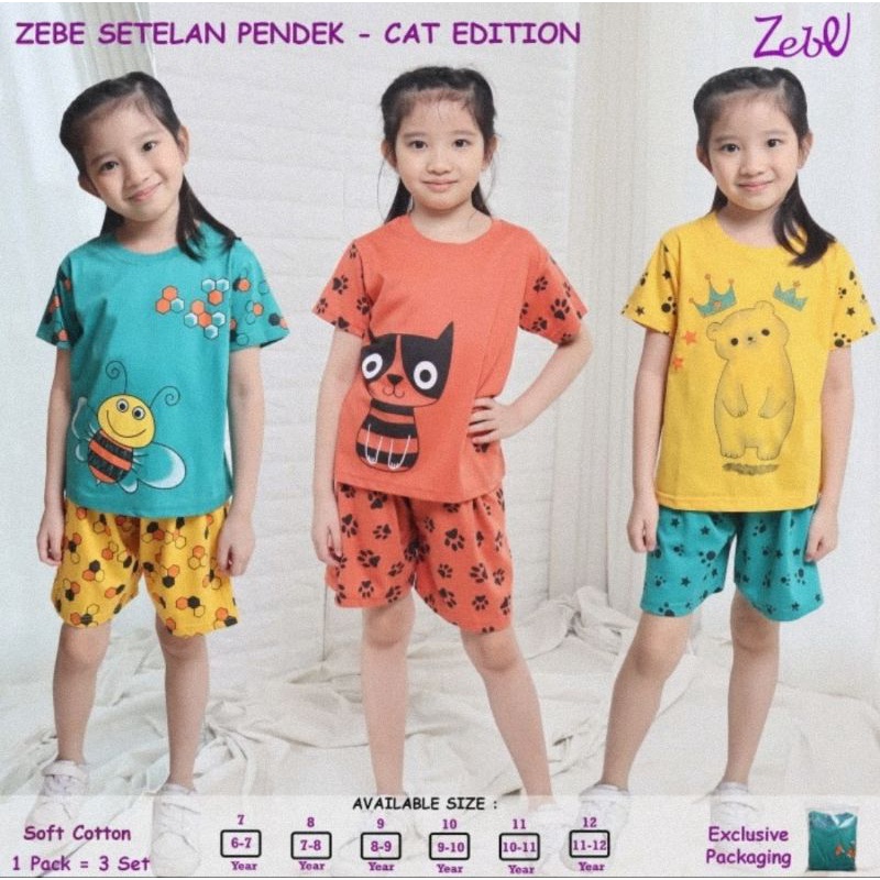 Zebe Setelan Baju Lengan Pendek Celana Pendek Cat Edition - Baju Anak