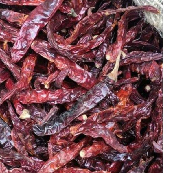 

Star CABE TANJUNG ,cabe bumbu bukan untuk sambal ( TIDAK PEDAS ) !