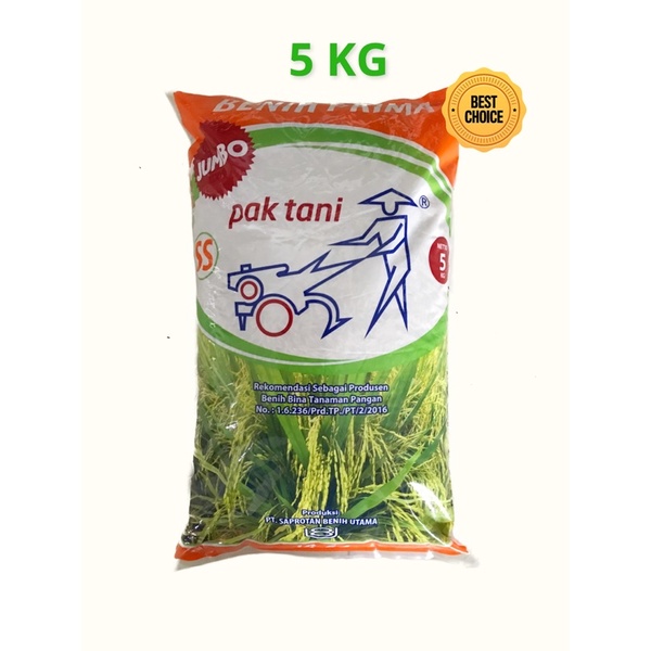 Bibit Padi / Benih Padi