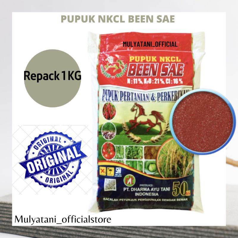 Pupuk NKCL Been sae Pupuk KCL Kuda Ecer Repack 1 KG Original