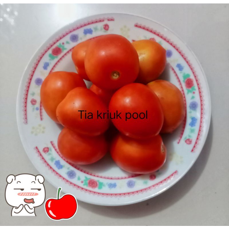 

TOMAT SEGAR 500 gram