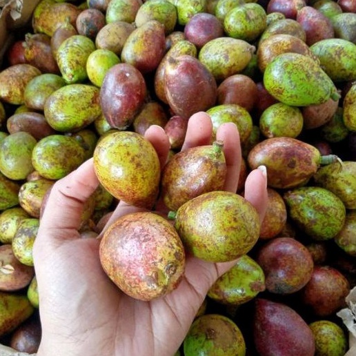 BUAH MATOA MANIS 1 KG