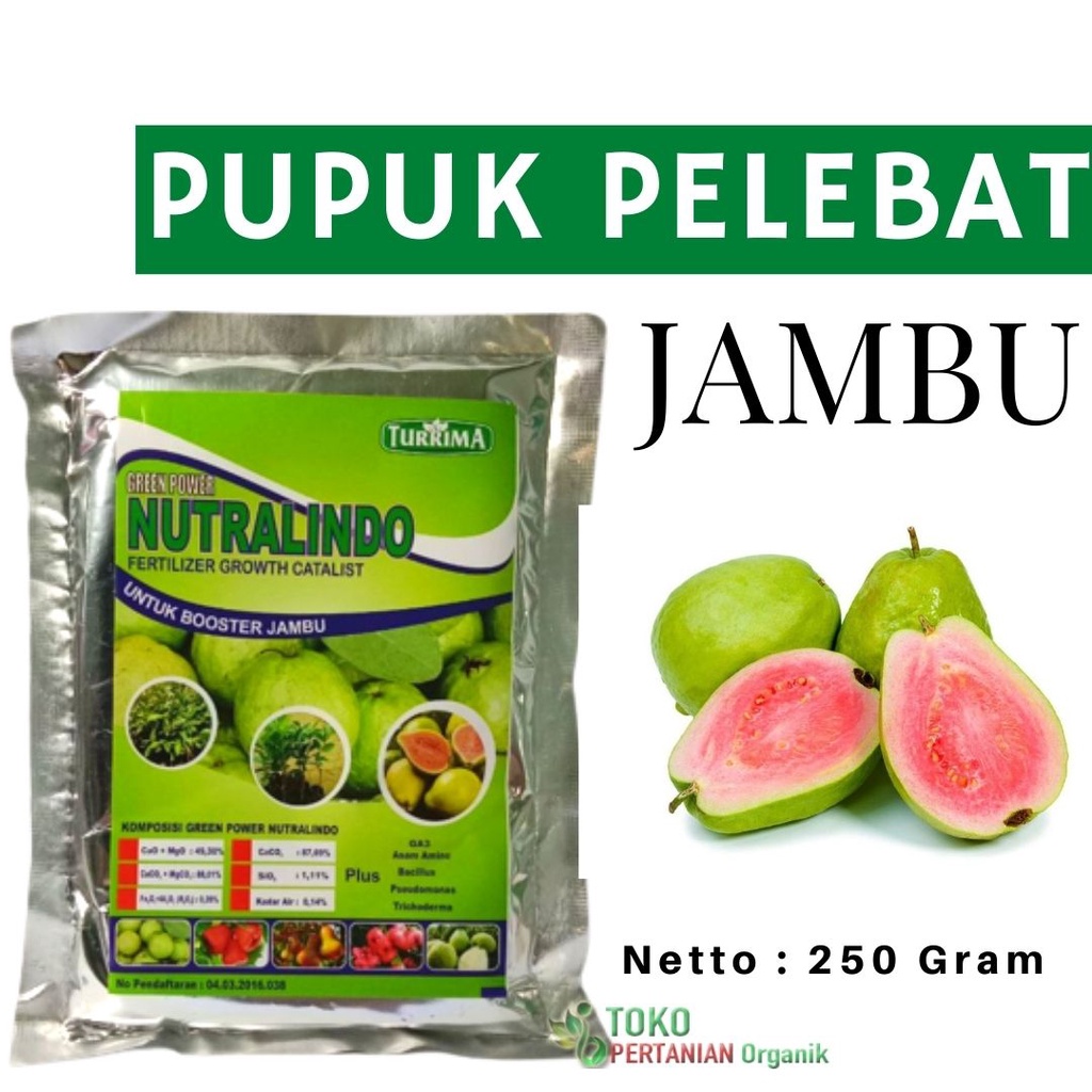 Booster NUTRALINDO buah jambu biji, Nutrisi perangsang buah jambu air, Pupuk Organik jambu air cepat