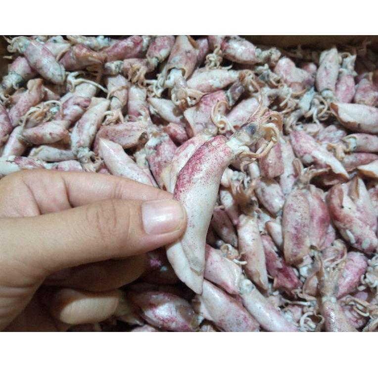 

Best.. Cumi sontong super / cumi sontong telur / cumi sontong rebus ikan asin 33