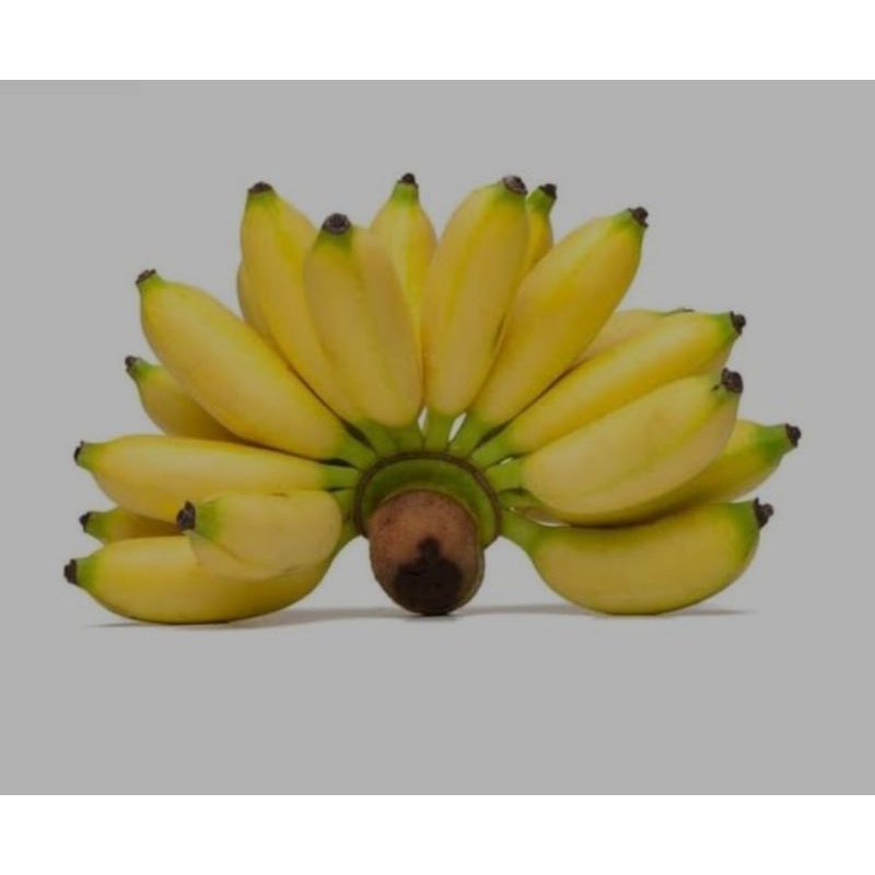 

pisang mellin