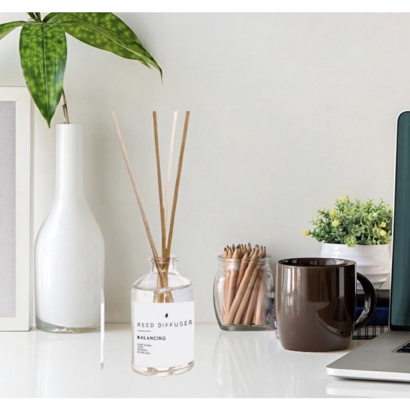 REED DIFFUSER PUTIH AROMATHERAPY | AROMATHERAPY DIFFUSER