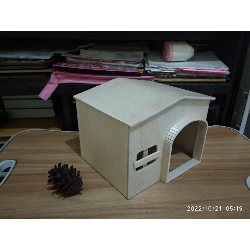 Rumah marmut Guinea pig