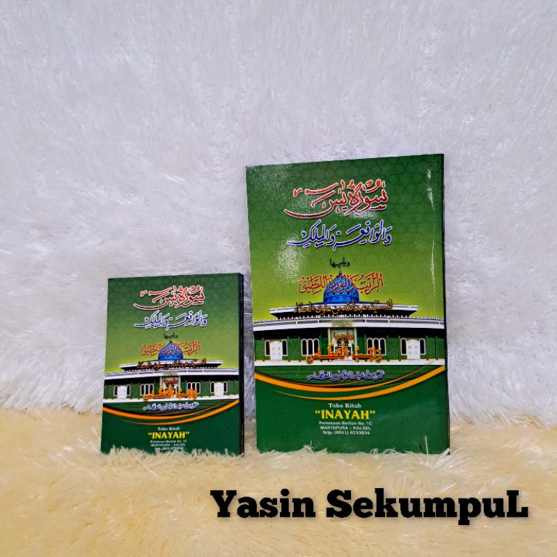 YASIN WIRIDAN SEKUMPUL TANGGUNG DAN SAKU