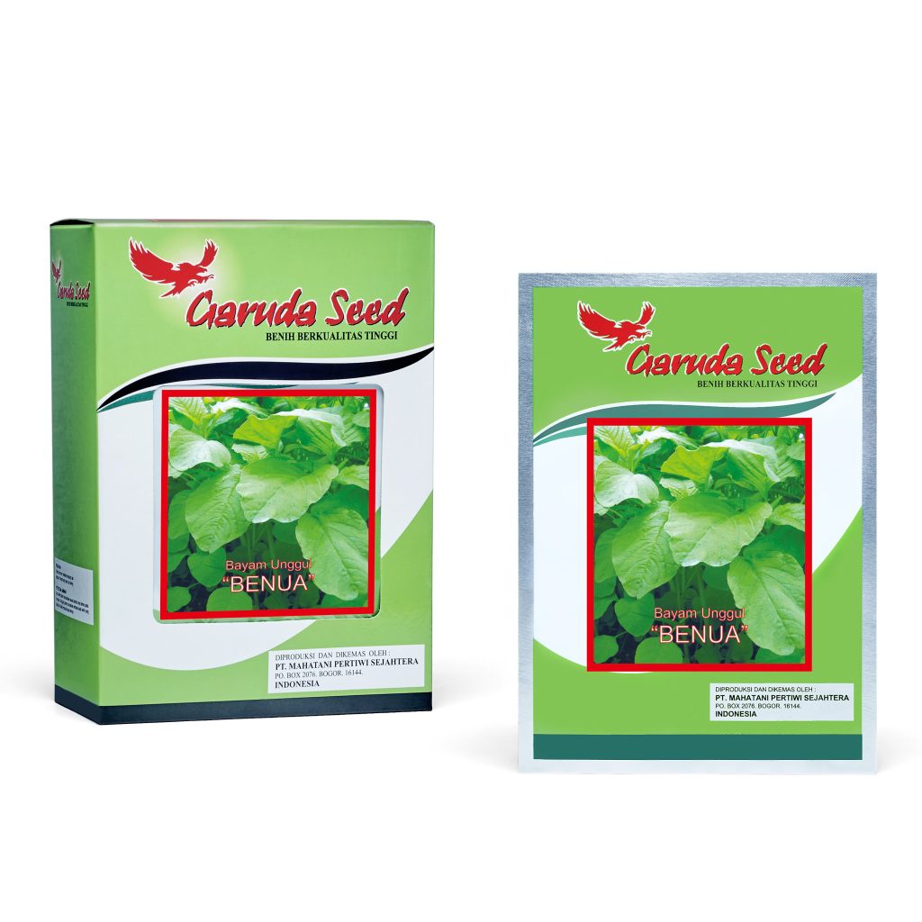 (1 PACK) Benih Bayam Hijau Unggul BENUA Seeds - Garuda Seed - 50 GRAM