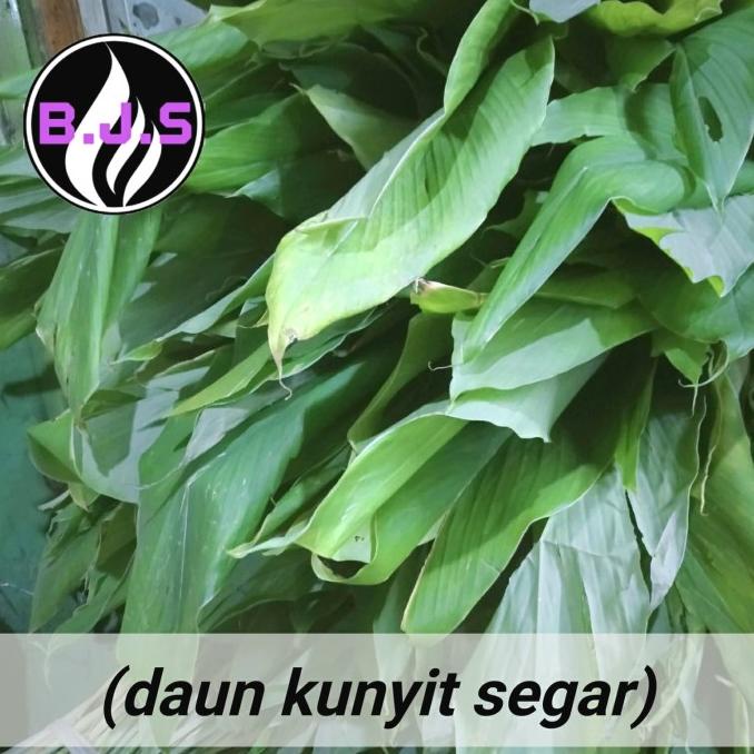 

PROMO DAUN KUNYIT SEGAR 1IKAT 250 GR KURANG LEBIH(GRAB-GOJEK) DISCOUNT