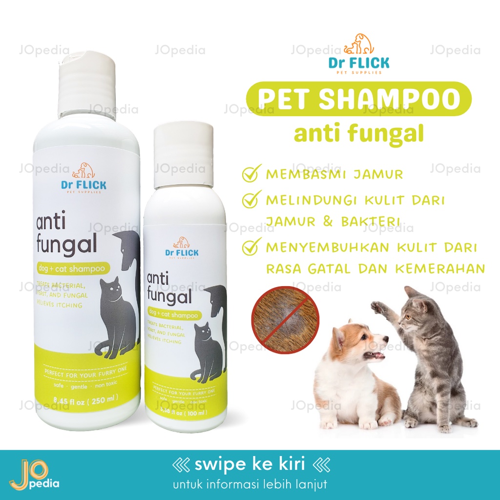DR FLICK Shampoo Kucing Anjing Shampo Kutu Jamur Anti Tick Flea Fungal Sampo Hewan Bulu Halus