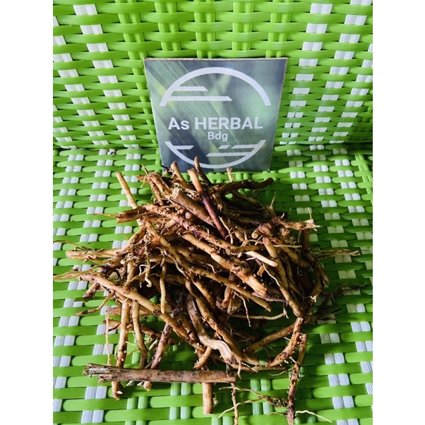 Akar pinang segar / akar pohon pinang segar 500 gram