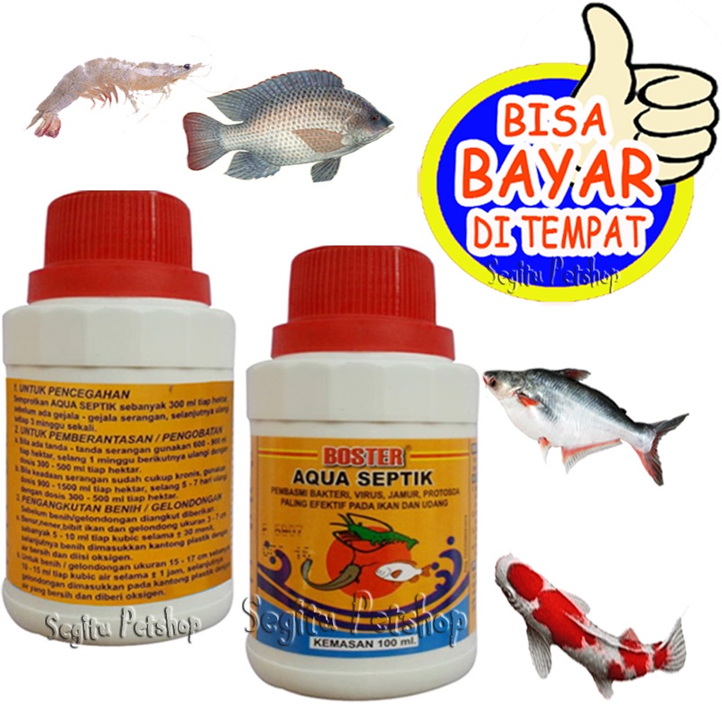 OBAT IKAN NILA MAS LELE ANTI VIRUS BAKTERI GURAME PATIN BAWAL BOSTER AQUA SEPTIK