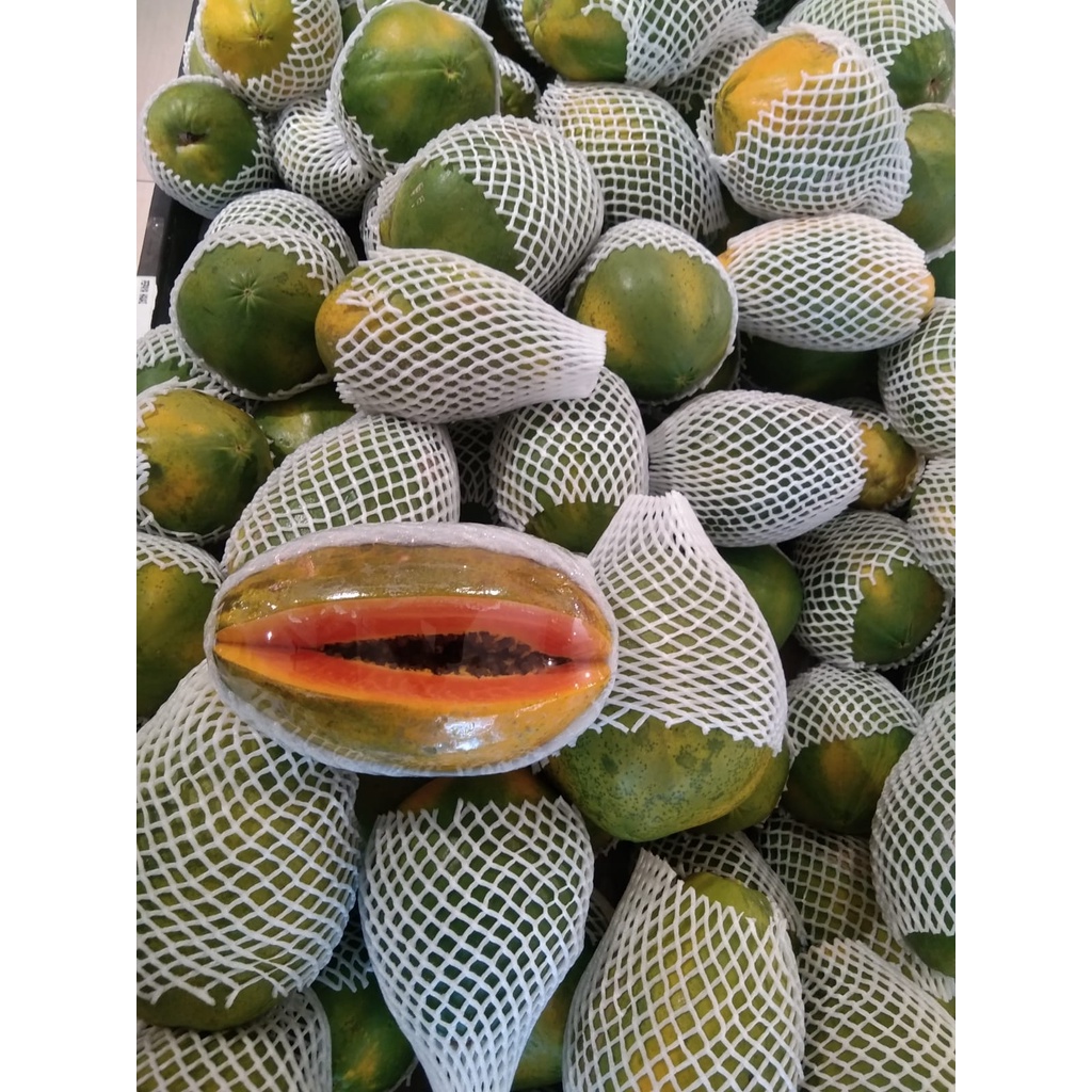 

PEPAYA HAWAI 900G-1.000G