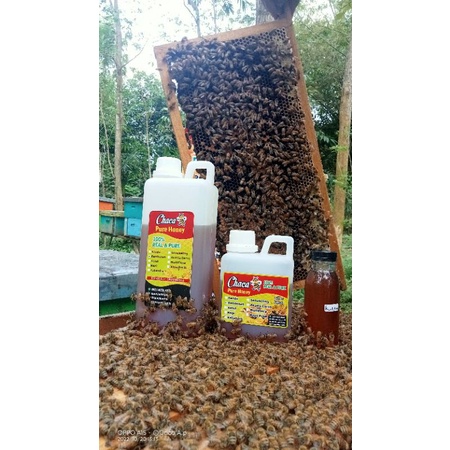 

madu murni 100% pure raw honey jaminan asli | madu mentah