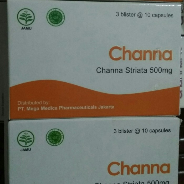 channa striata 500mg ekstrak ikan gabus