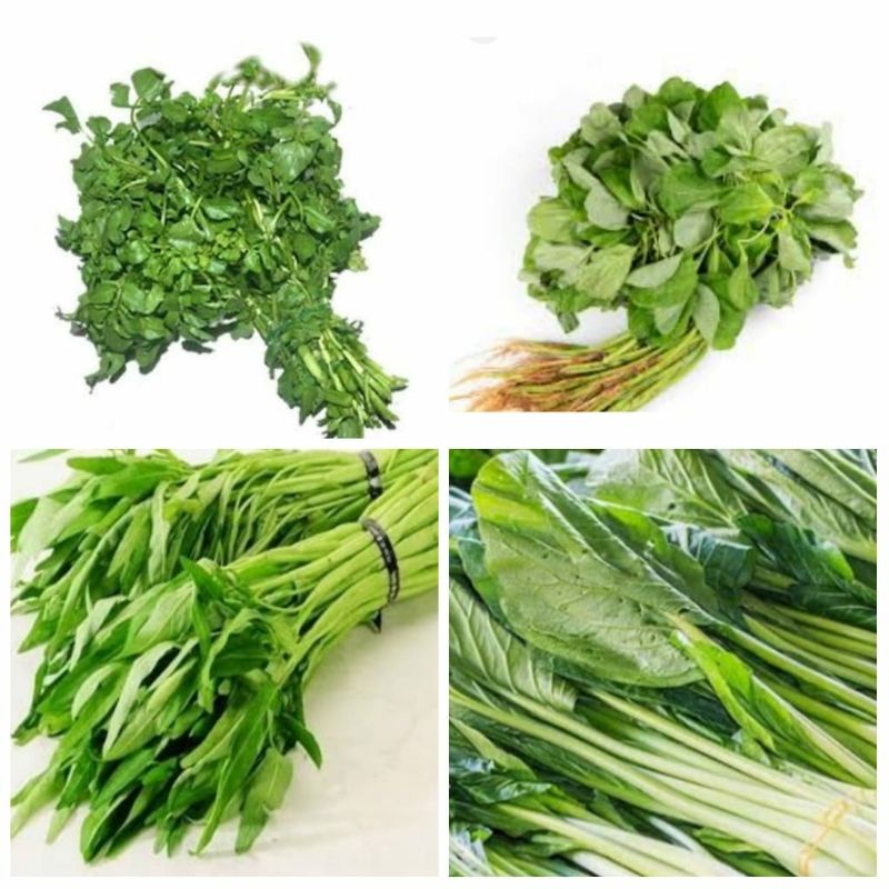 Jual Bayam Kangkung Caisim Selada Air Sayur Segar Sayur Murah