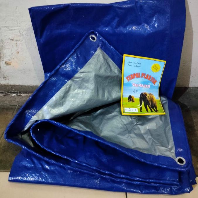 Terpal Plastik A5 6x8 meter