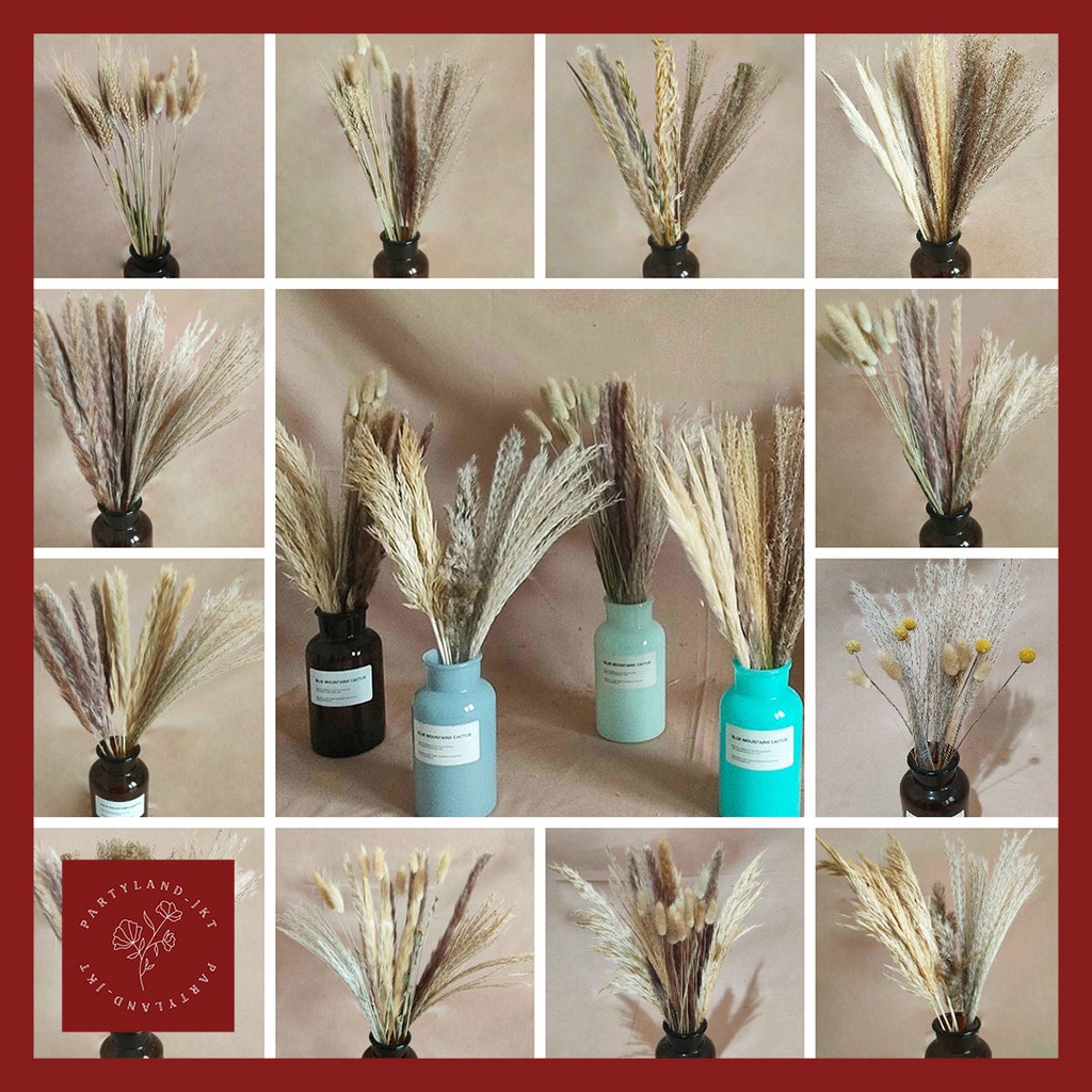 Dried Flower Bali Style Pampas Bundle Lagurus Wheat Oat Pampas Grass Bunga Kering Asli Dekorasi Hias Pajangan