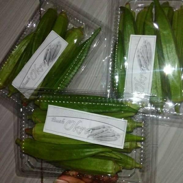 

Murah❆ Buah okra hijau segar D40 ✻