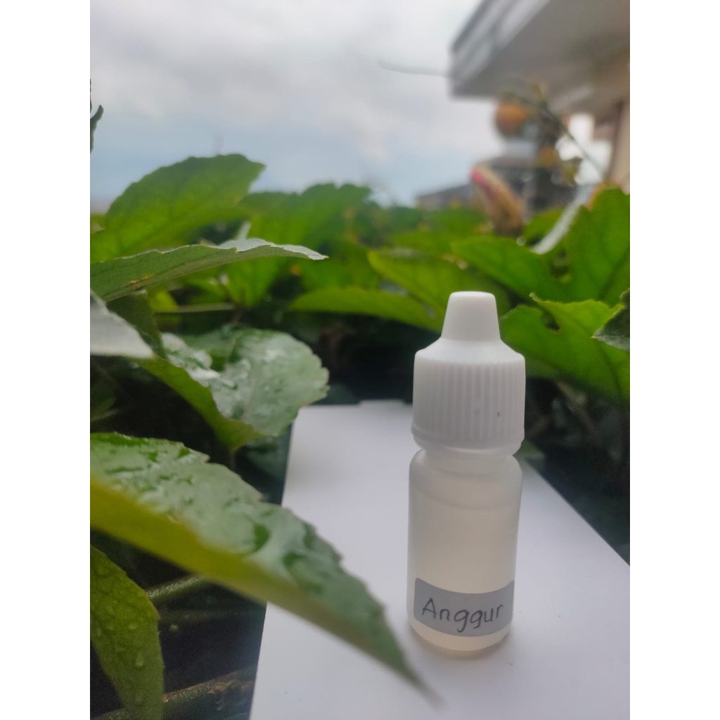 BIANG ESSEN ANGGUR 5ML