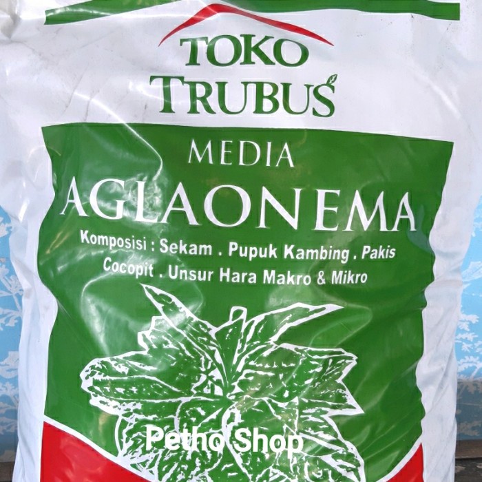 Media Tanam Media Tanam Aglonema/Aglaonema Super Trubus