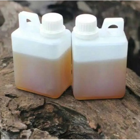 

Jual Madu Murni Bunga Multiflora 1 KG Asli dan Bergaransi