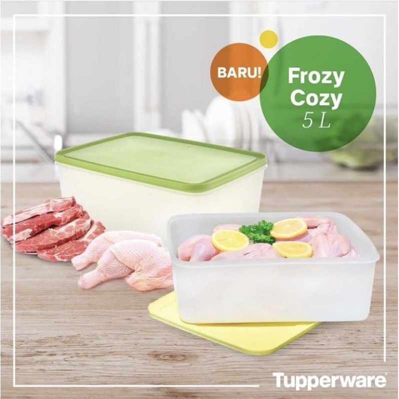 Frozy Cozy 5L Set / Paket Penyimpanan Makanan Kulkas Tupperware Original